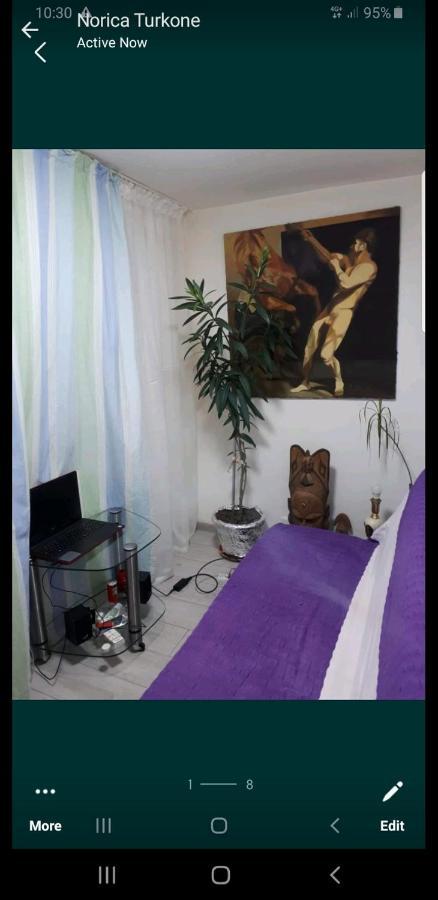 טימישוארה Casa Verde מראה חיצוני תמונה