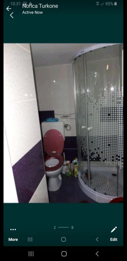 טימישוארה Casa Verde מראה חיצוני תמונה