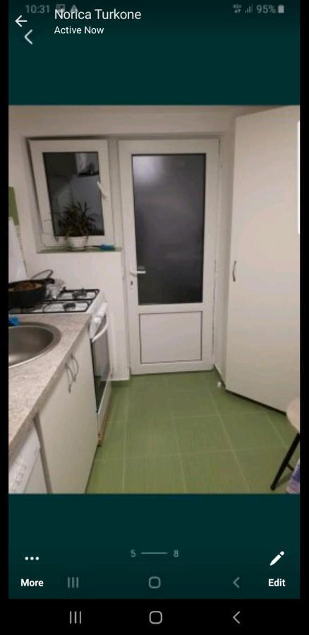 טימישוארה Casa Verde מראה חיצוני תמונה